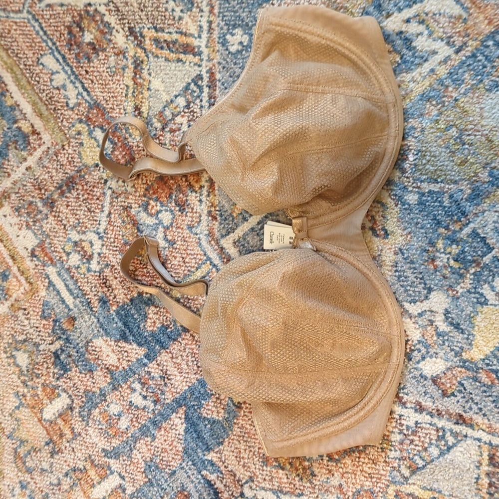 Chantelle 34DD Nude bra